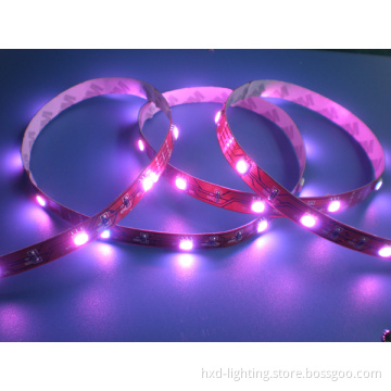 Waterproof Flexible LED Strip (5050RGB06)